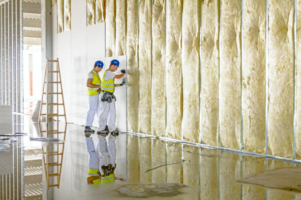 Best Specialized Insulation Services in New Cumberland, WV